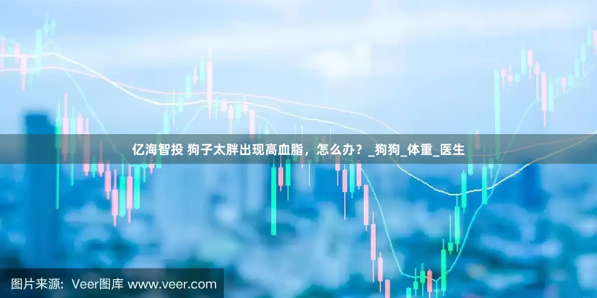 亿海智投 狗子太胖出现高血脂，怎么办？_狗狗_体重_医生