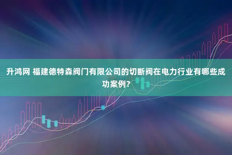 升鸿网 福建德特森阀门有限公司的切断阀在电力行业有哪些成功案例？